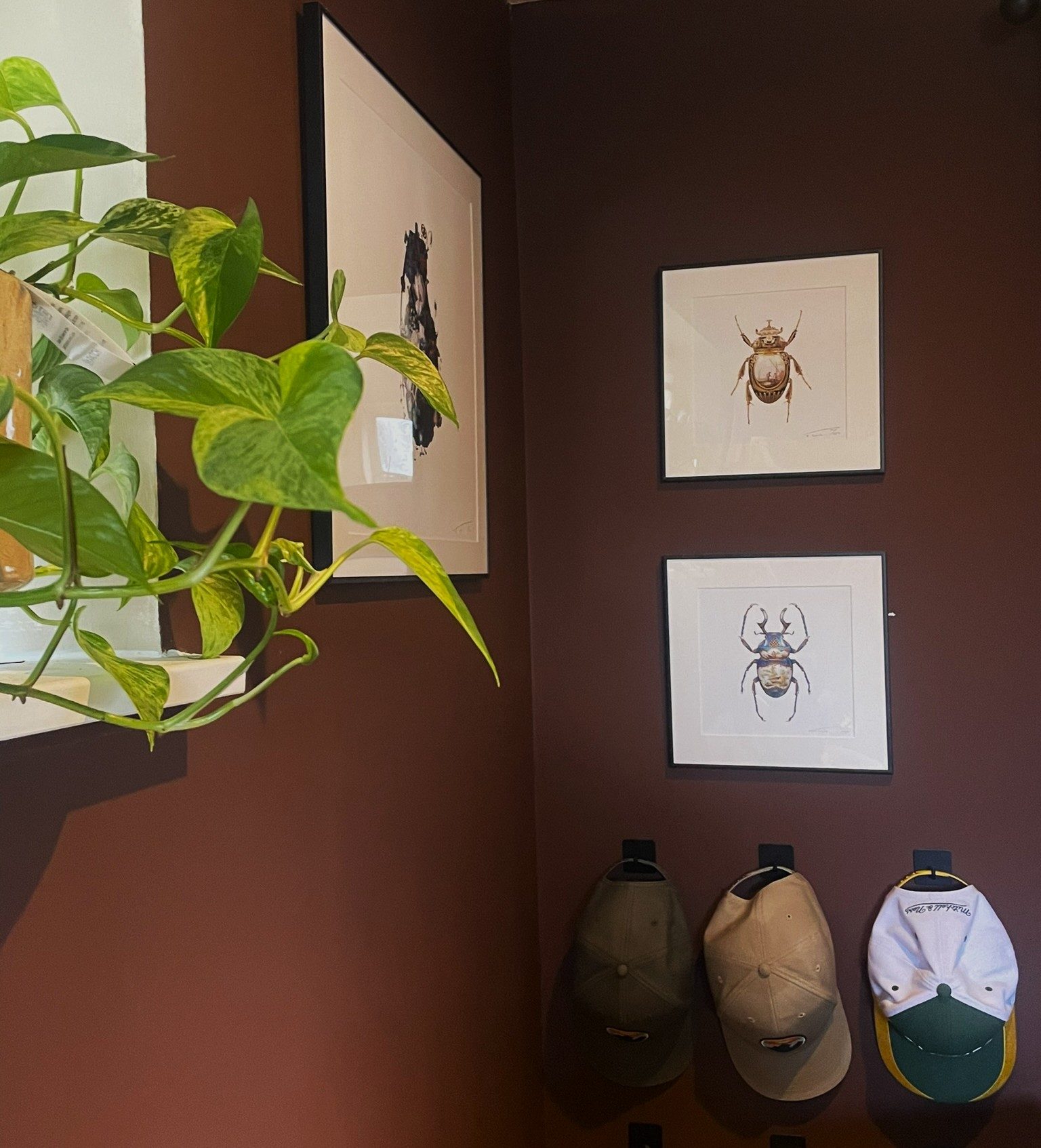 A plum-painted study wall with framed beetle prints, a trailing pothos and caps on hooks