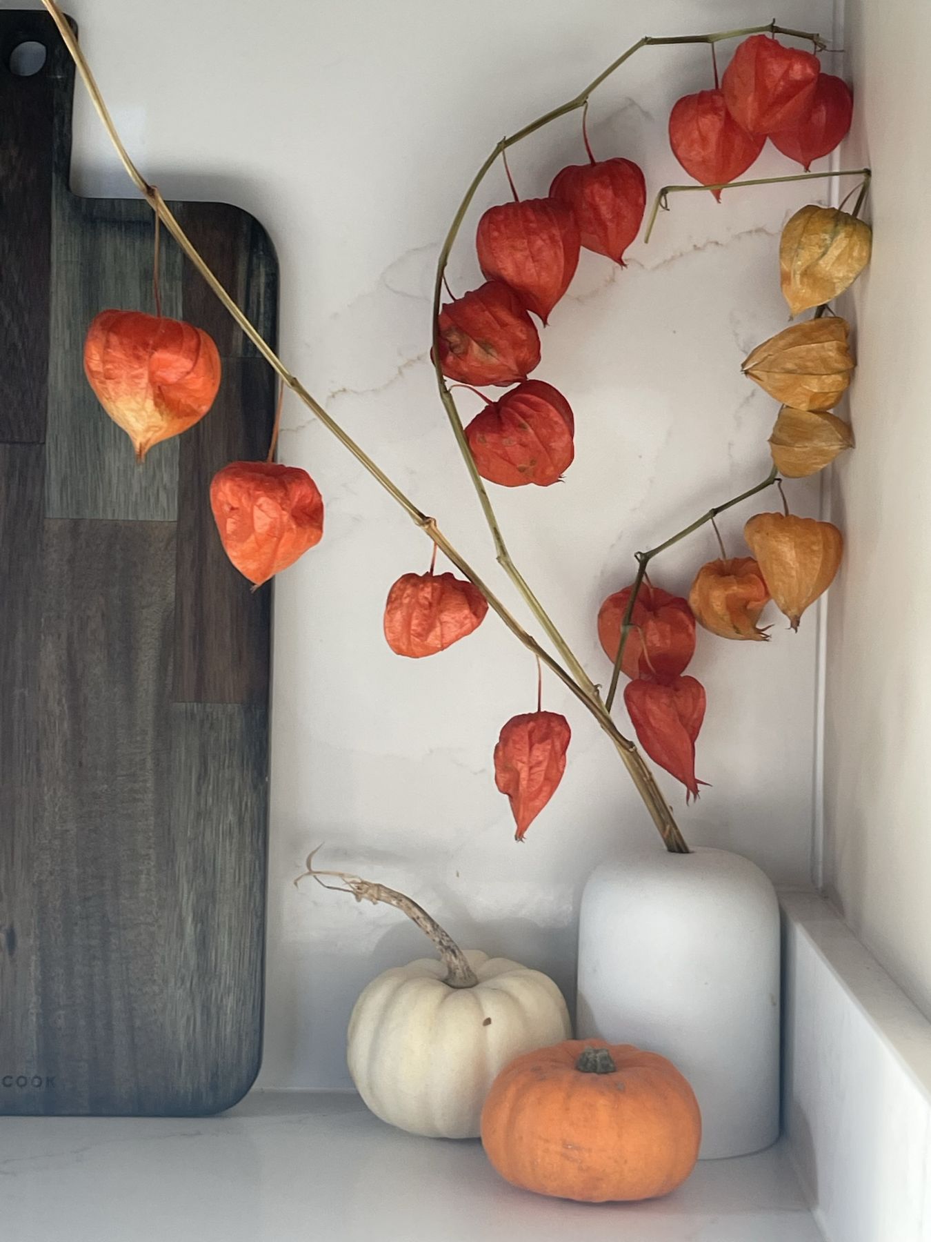 Chinese lantern branches, a dark wood board and small pumpkins on a pale worktop