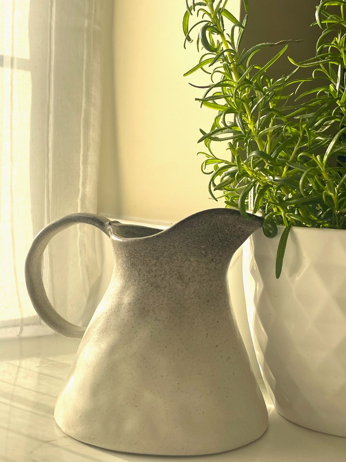 A cream ceramic jug and potted rosemary on a sunlit windowsill