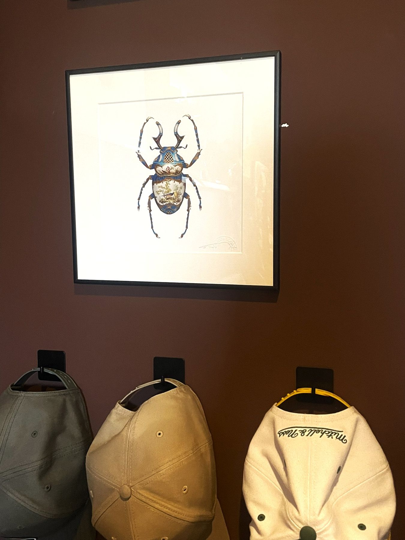 Baseball caps on black hooks below a framed beetle print