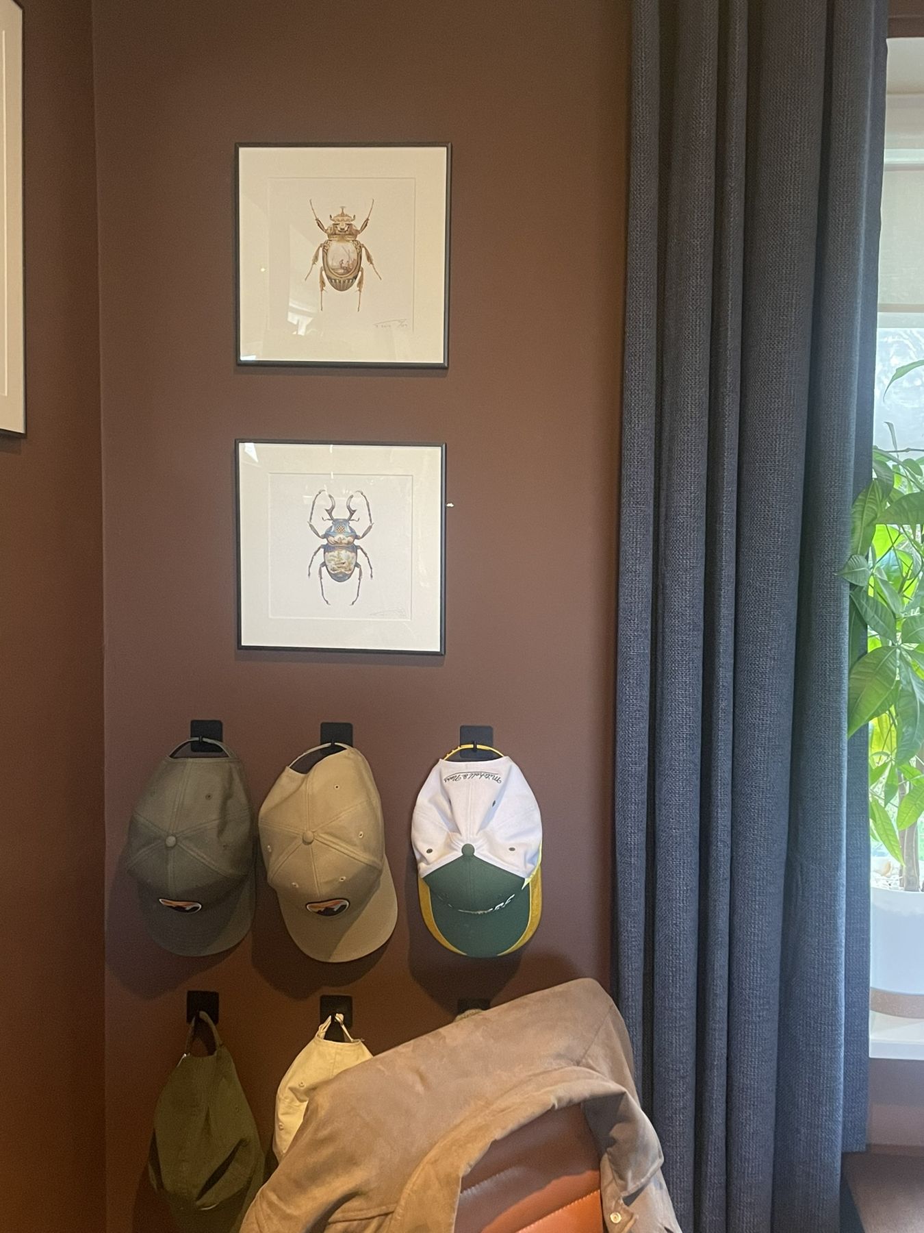 Two small beetle prints above a row of caps on hooks